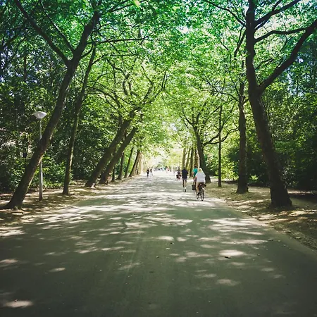 아파트 아파트먼트 드 할렌 *