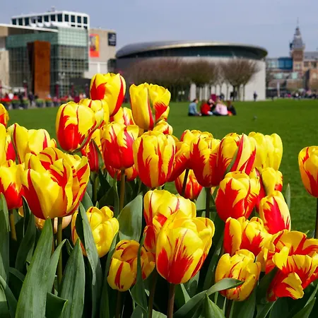 아파트 아파트먼트 드 할렌 암스테르담