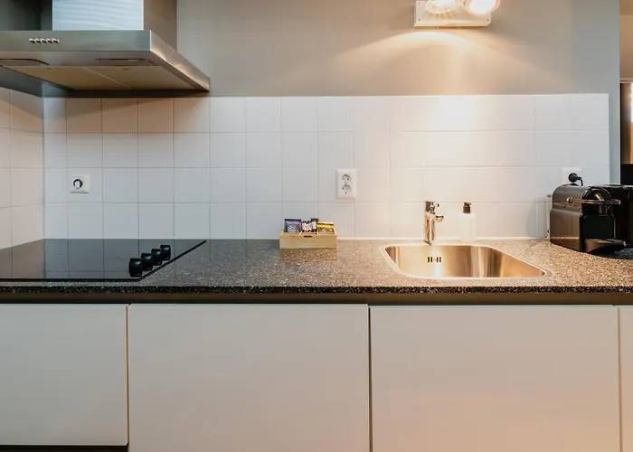 德哈伦公寓 阿姆斯特丹