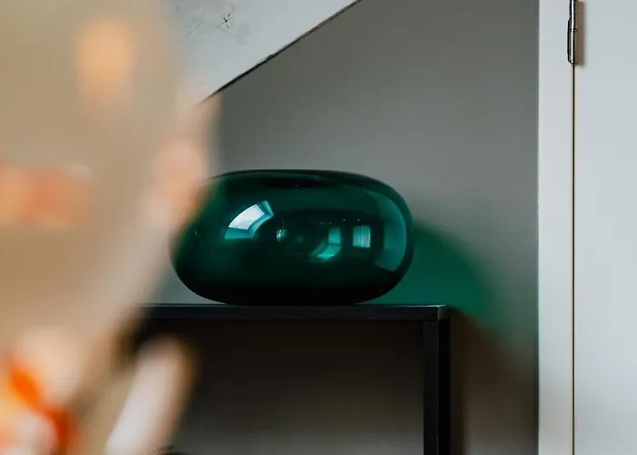 公寓 德哈伦公寓 *