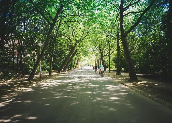 公寓 德哈伦公寓 *