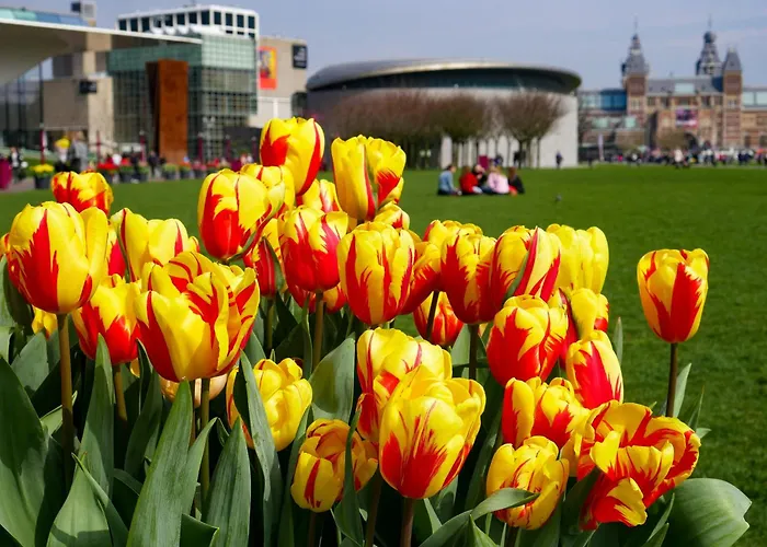 Appartamento De Hallen Amsterdam